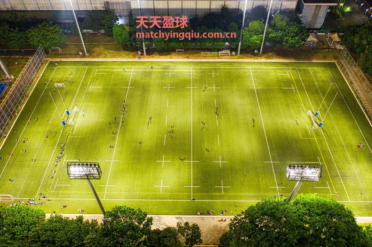 天天盈球球队图标